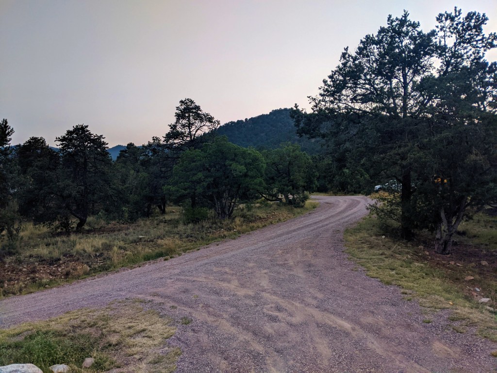 A shot of the dirt road from the campsite. Trees and sage brush on either side.
