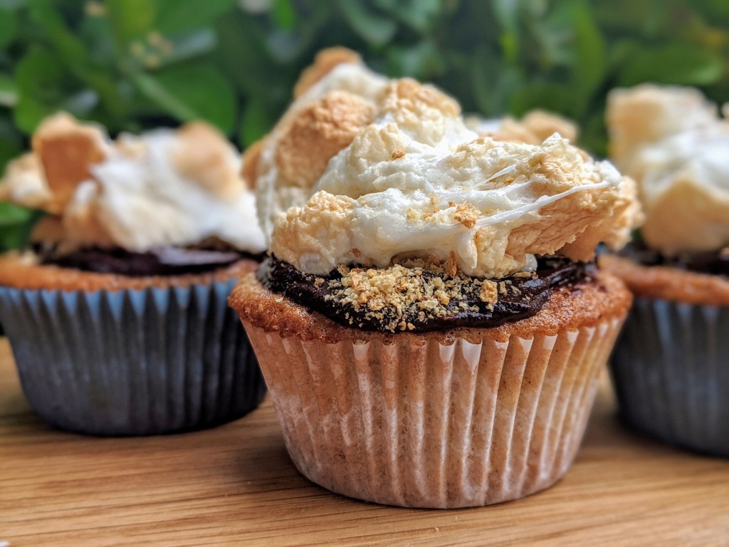 S'more cupcakes lined up with bright green foliage behind them. Fluffly marshmallow topping, chocolate ganache and fill, and warm vanilla graham cupcake